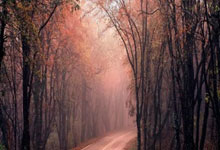 开云地址墨西哥将部署近10万名安保人员护航世界杯