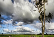 开云3月14日开考(kǎo)！2026年德州市公務(wù)员面試(shì)时间确定(dìng)